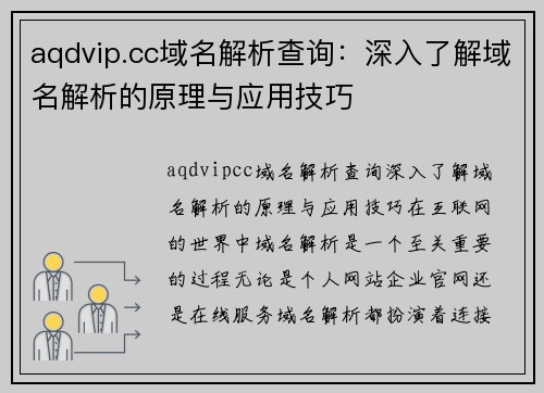 aqdvip.cc域名解析查询：深入了解域名解析的原理与应用技巧